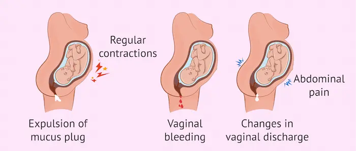 A Symptom-by-Symptom Guide