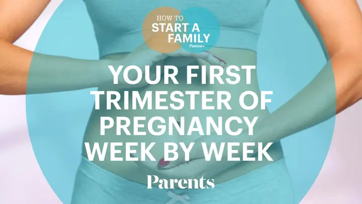 First Trimester Survival Guide