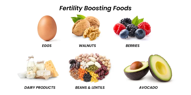 Nutrition for Conception