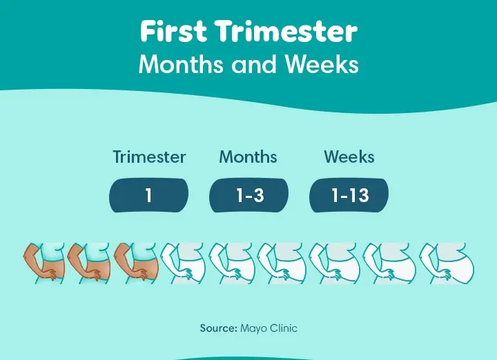 Your First Trimester FAQ