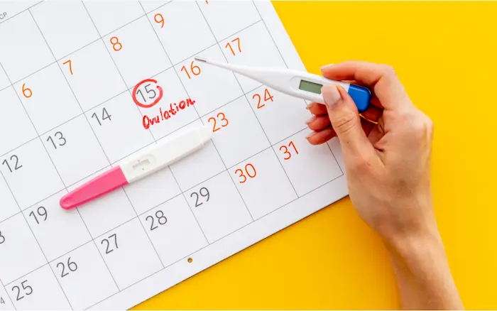Your Guide to Ovulation Predictor Kits and Other Tracking Methods