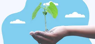 Building Your Support Ecosystem