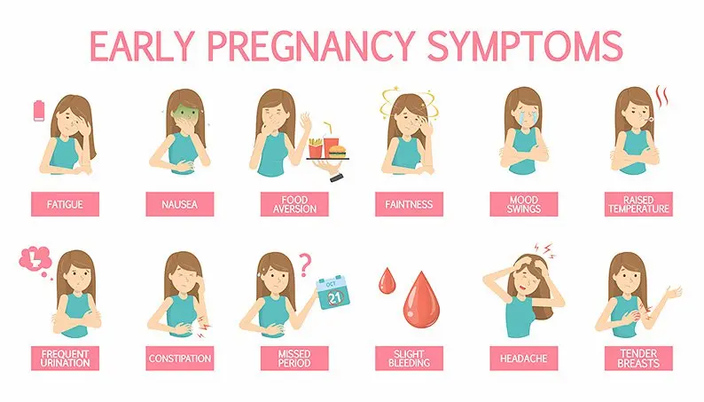 How Early Can You Detect Pregnancy