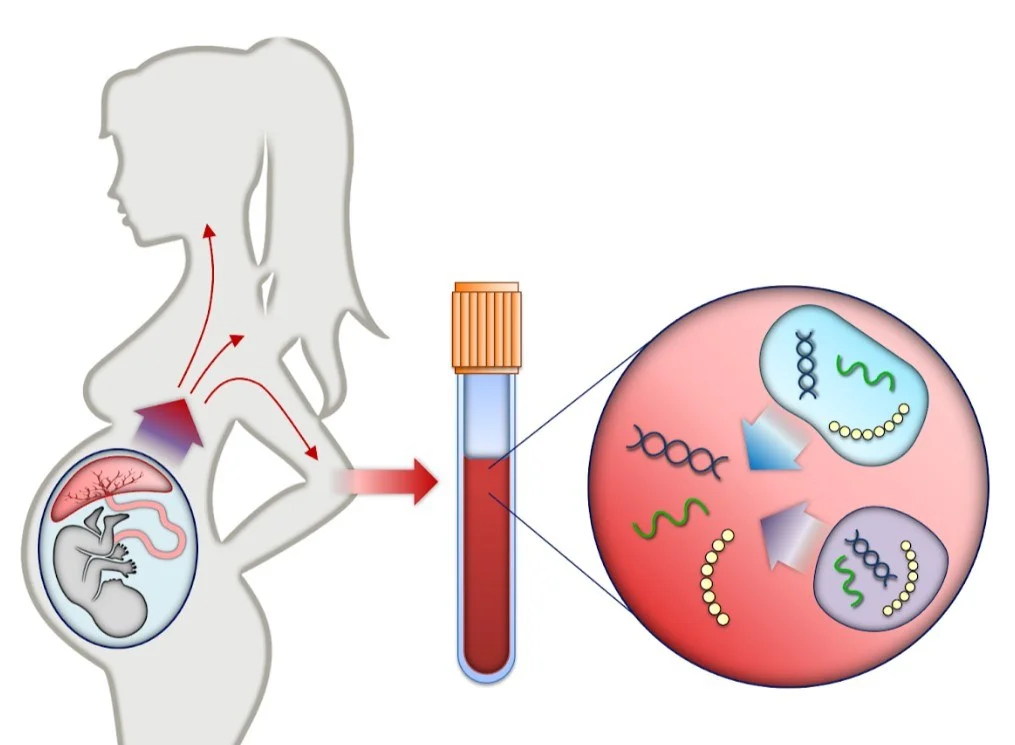 Non-Invasive Prenatal Testing