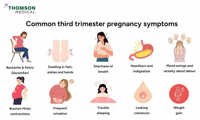 Third Trimester Symptoms & Relief Tips
